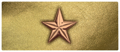 DNSEMP-L-430-BZ-GD Star Bronze-Gold